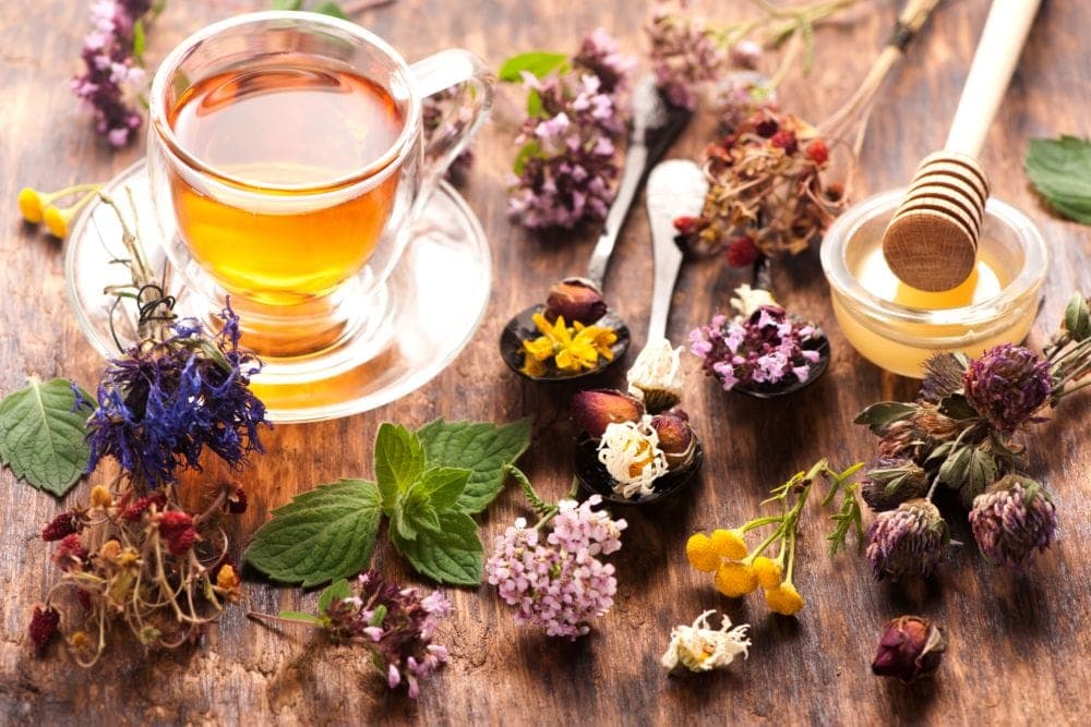 PHYTOTHERAPIE